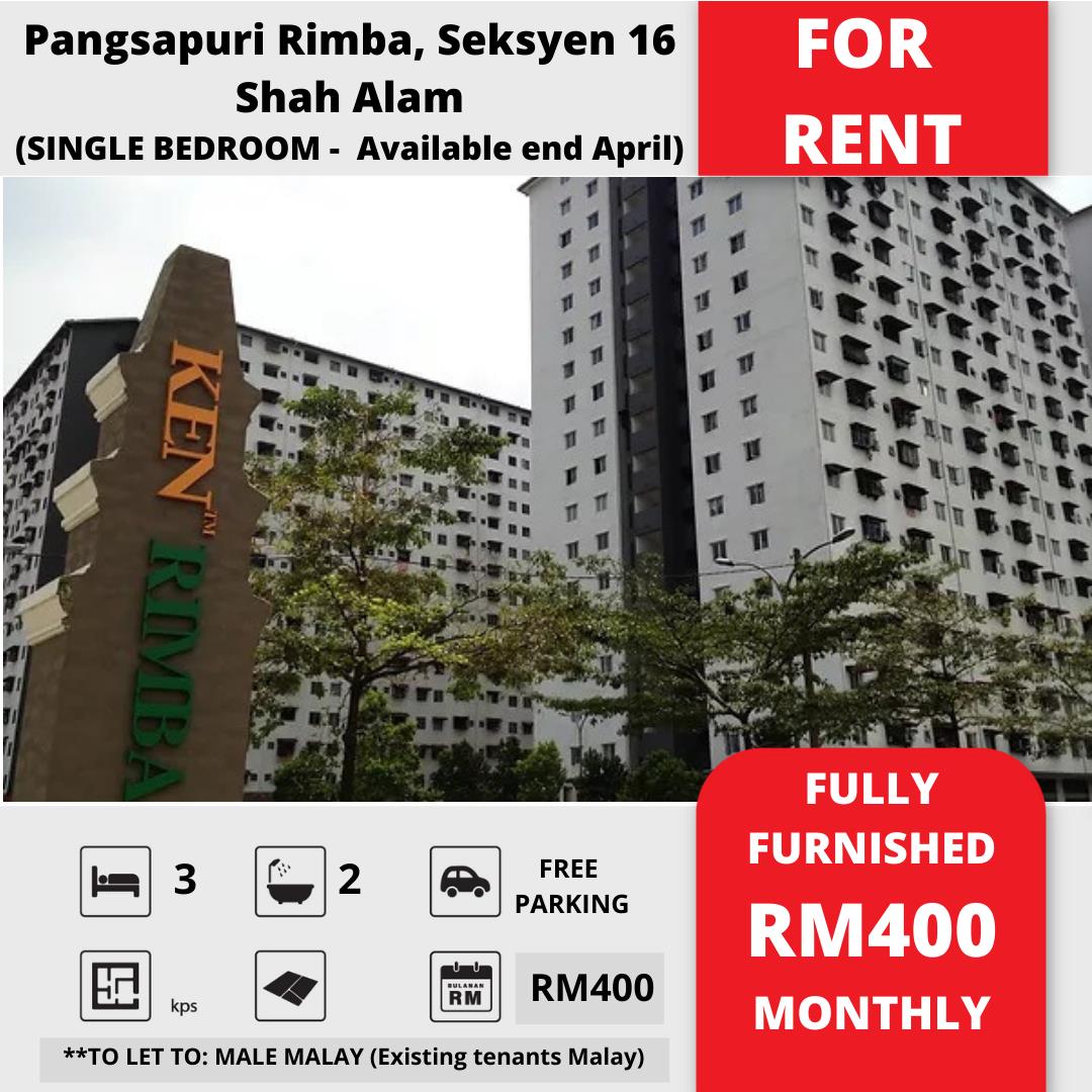 latest property