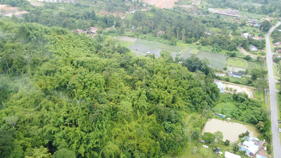 latest property
