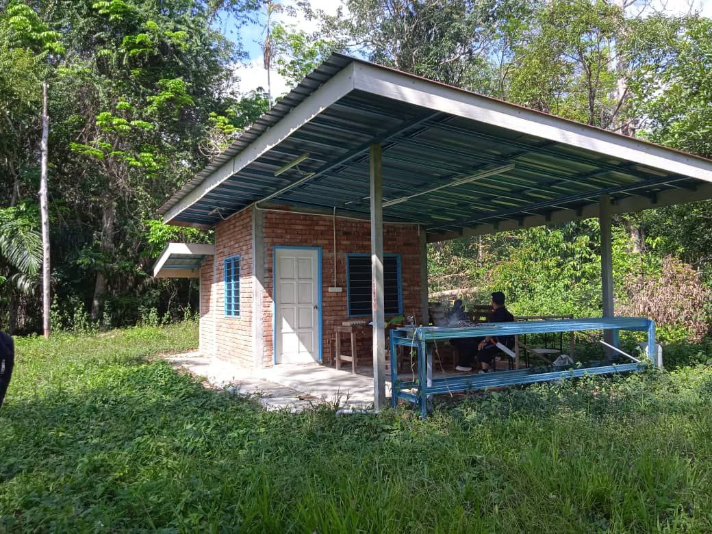 latest property
